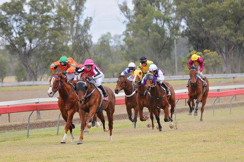 Thangool Races - Phillip Island Accommodation 0