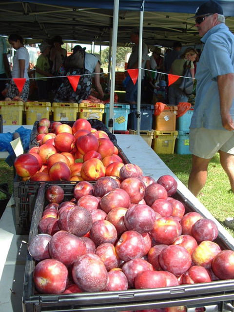 The Farmers Market On Manning - Phillip Island Accommodation 0