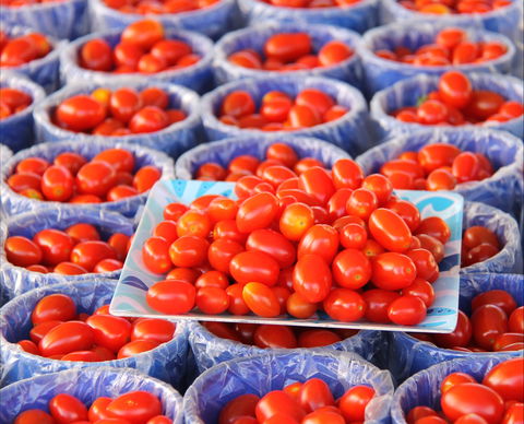 The Entrance Market - Phillip Island Accommodation 2