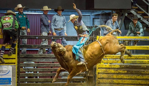 Top Gun And Young Gun Series Round 9 - Phillip Island Accommodation 0