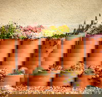 Tumbarumba Spring Flower Festival