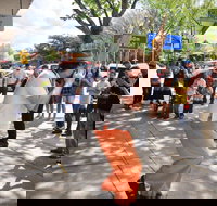 Australian National Busking Championships - Phillip Island Accommodation