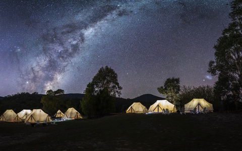 A Wild Night Out - Spring - Phillip Island Accommodation 6