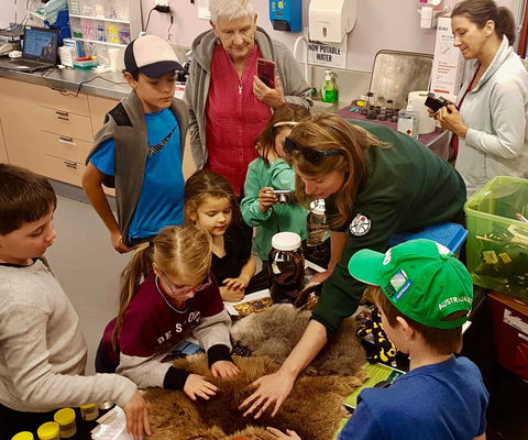 A Wild Night Out - Spring - Phillip Island Accommodation 7