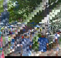 Bellingen Community Markets - Phillip Island Accommodation