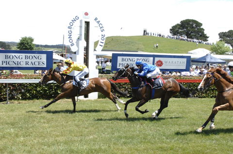 Bong Bong Picnic Races - Phillip Island Accommodation 0