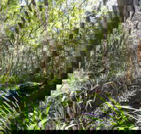 Bottlebutt Bash Trail Run - Phillip Island Accommodation