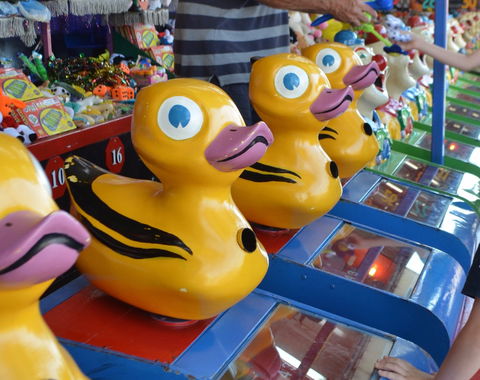 Casino Agricultural Show - Phillip Island Accommodation 0