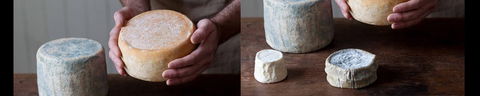Cheese Making Basics Class - Phillip Island Accommodation 0
