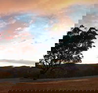 Christmas in July Jumpers and Jazz - Phillip Island Accommodation