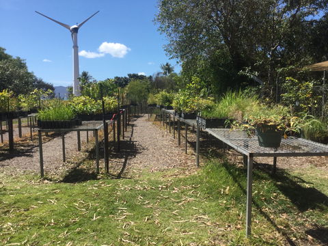 Conservation Volunteers Australia Townsville - Ocean View Nursery - Phillip Island Accommodation 0