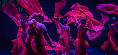 Darwin Fringe Festival - Phillip Island Accommodation 1