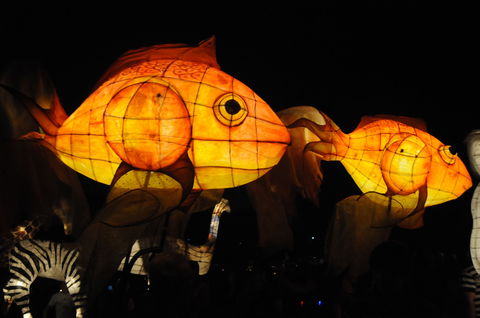 DREAM Festival: Music And Markets Event - Phillip Island Accommodation 2