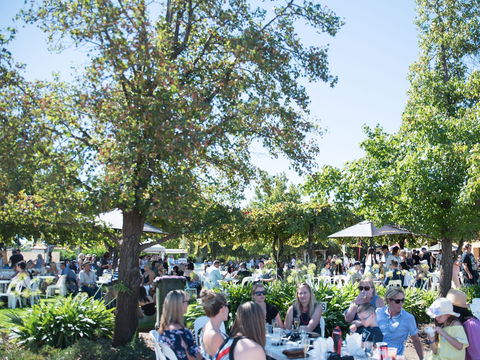 Griffith Vintage Festival - Phillip Island Accommodation 2