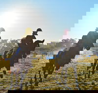 Gunnedah Showjumping Festival - Phillip Island Accommodation