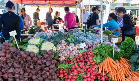 Harvest Launceston Community Farmers' Market - Phillip Island Accommodation 2