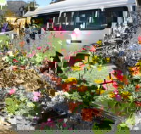 Johns River Country Markets - Phillip Island Accommodation