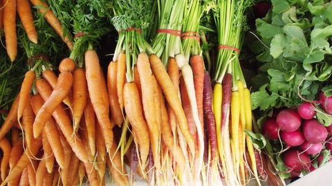 Joondalup Growers Market - Phillip Island Accommodation 0