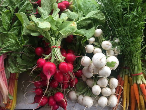 Joondalup Growers Market - Phillip Island Accommodation 1