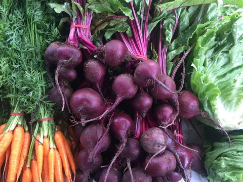 Joondalup Growers Market - Phillip Island Accommodation 2