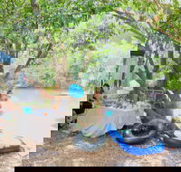 Jungle Love Festival - Phillip Island Accommodation