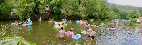 Jungle Love Festival - Phillip Island Accommodation 1