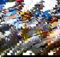 Land Rover Polo in the City Brisbane - Phillip Island Accommodation