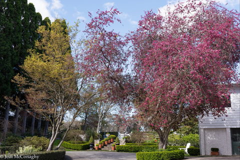 Leura Gardens Festival - Cancelled - Phillip Island Accommodation 0