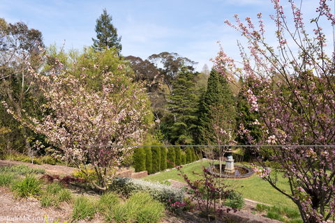 Leura Gardens Festival - Cancelled - Phillip Island Accommodation 2