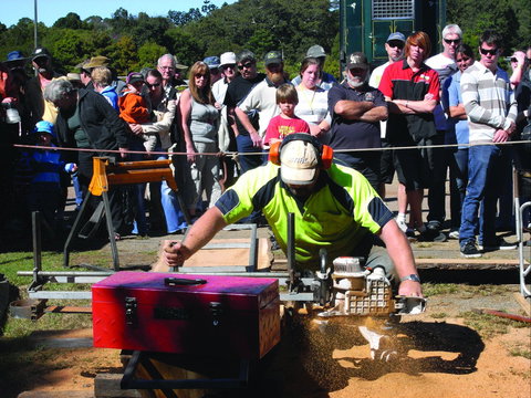 Maleny Wood Expo: From Seed To Fine Furniture - Phillip Island Accommodation 2