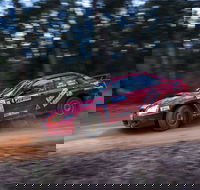 Narooma Forest Rally - Phillip Island Accommodation