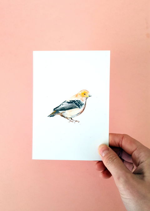 NW Niche Christmas Market In Burnie - Phillip Island Accommodation 1