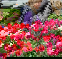 Spring Fling - Phillip Island Accommodation