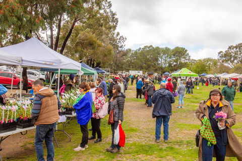 Spring Fling - Phillip Island Accommodation 1