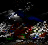 Summer  Family Nature Camp - Phillip Island Accommodation