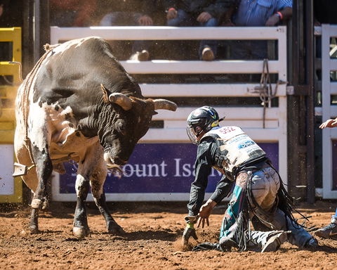 The 2020 Virtual Mount Isa Mines Rodeo - Phillip Island Accommodation 2