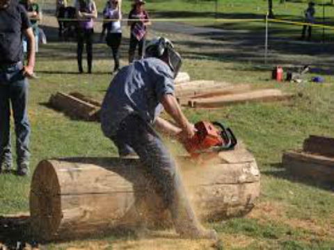 Tocal Field Days - Phillip Island Accommodation 0
