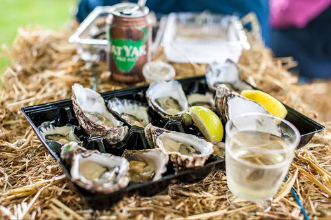 Narooma Oyster Festival - Phillip Island Accommodation 1