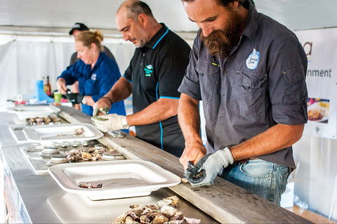 Narooma Oyster Festival - Phillip Island Accommodation 2