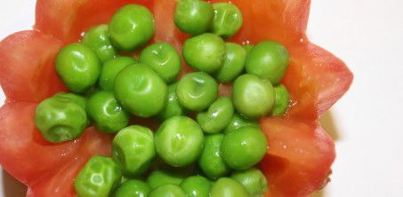 Sherpa Kitchen Nepalese Cuisine - Phillip Island Accommodation 2