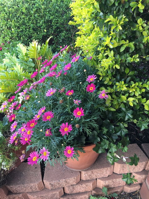 Country Pathfinder Motor Inn - Phillip Island Accommodation 1