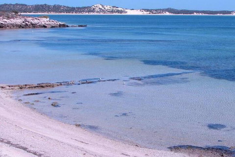 Southern Blue Apartments - Phillip Island Accommodation 6