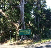 Byron Bay Rainforest Resort - Phillip Island Accommodation