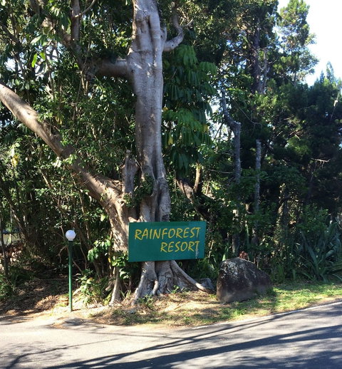 Byron Bay Rainforest Resort - Phillip Island Accommodation 0