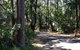 Byron Bay Rainforest Resort - thumb 3