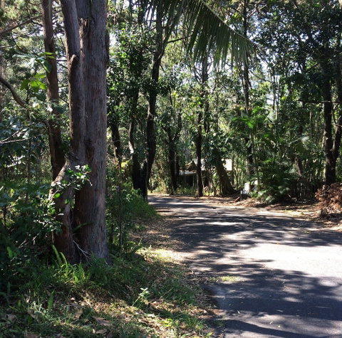 Byron Bay Rainforest Resort - Phillip Island Accommodation 3