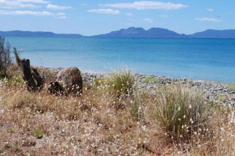 Schouten House - Phillip Island Accommodation 1