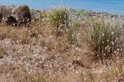 Schouten House - Phillip Island Accommodation 0