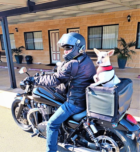 Ascot Lodge Motor Inn Kingaroy - Phillip Island Accommodation 2