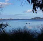 Lilacs Waterfront Villas  Cottages - Phillip Island Accommodation